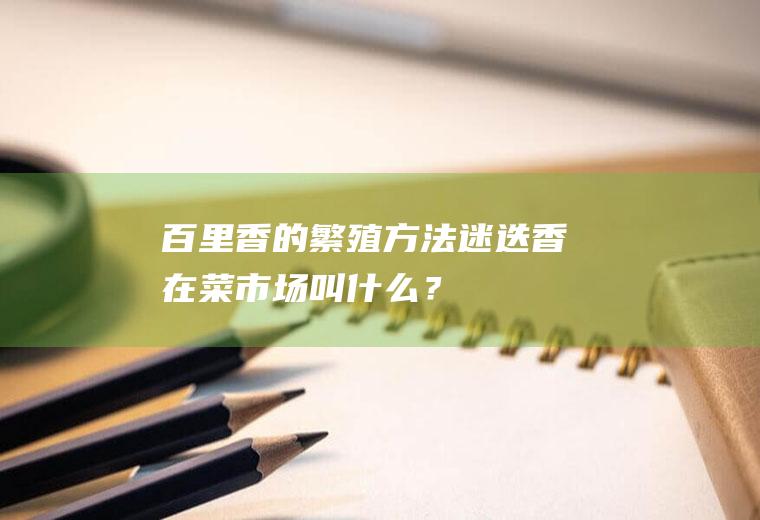 百里香的繁殖方法,迷迭香在菜市场叫什么？