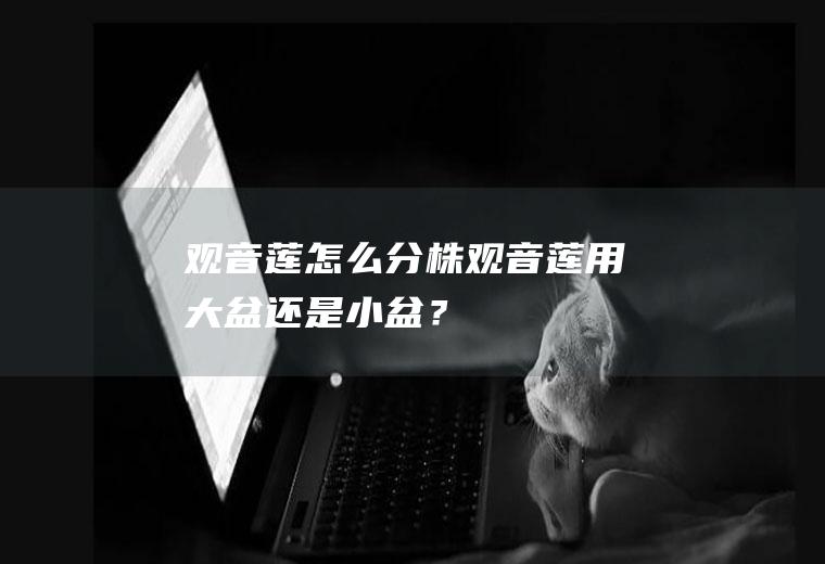 观音莲怎么分株,观音莲用大盆还是小盆？