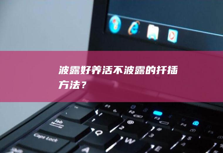 波露好养活不,波露的扦插方法？