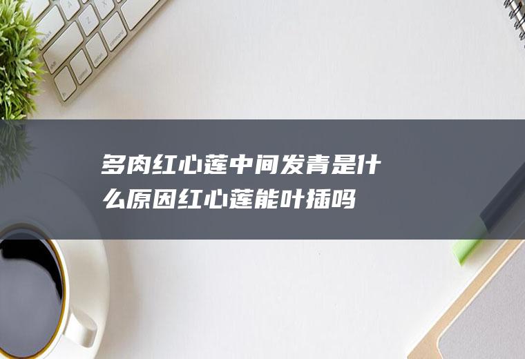 多肉红心莲中间发青是什么原因,红心莲能叶插吗？