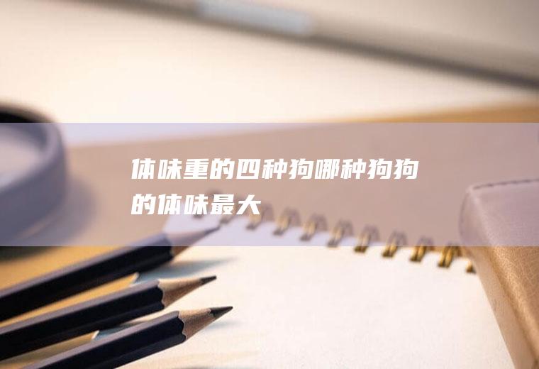 体味重的四种狗(哪种狗狗的体味最大)