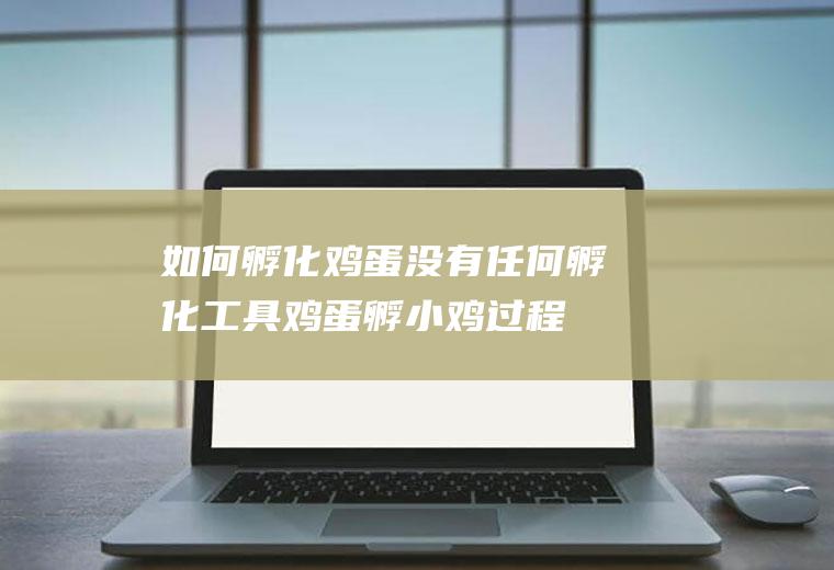如何孵化鸡蛋没有任何孵化工具(鸡蛋孵小鸡过程)