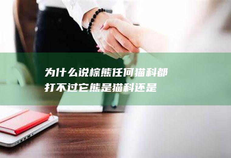 为什么说棕熊任何猫科都打不过它(熊是猫科还是犬科)