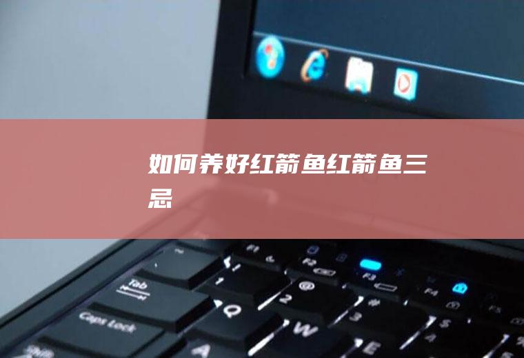 如何养好红箭鱼红箭鱼三忌