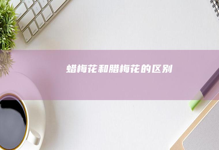 蜡梅花和腊梅花的区别