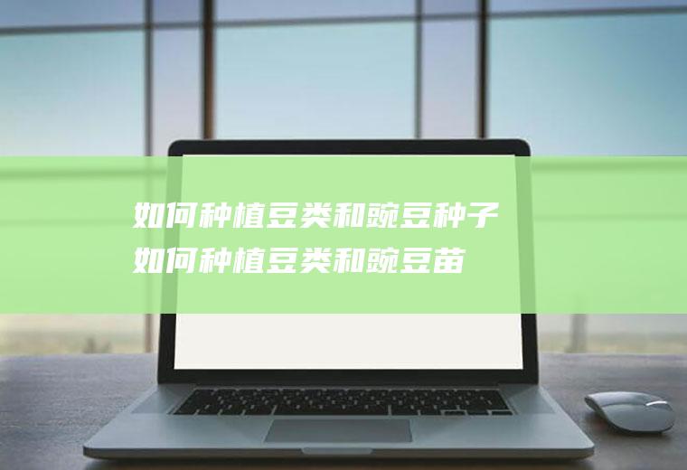 如何种植豆类和豌豆种子(如何种植豆类和豌豆苗)