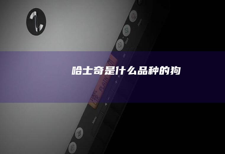 ​哈士奇是什么品种的狗
