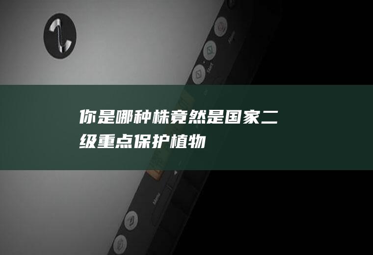 你是哪种株(竟然是国家二级重点保护植物→)