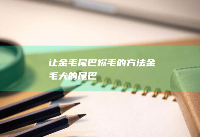让金毛尾巴爆毛的方法(金毛犬的尾巴)