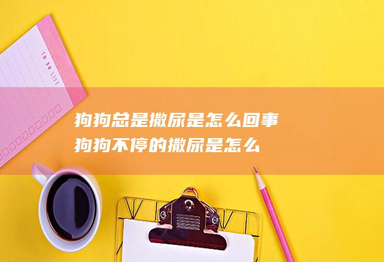 狗狗总是撒尿是怎么回事(狗狗不停的撒尿是怎么回事)