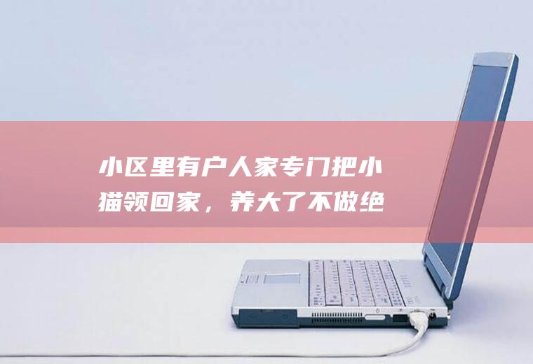 小区里有户人家专门把小猫领回家，养大了不做绝育就扔到小区里，之后再养小猫，该怎么制止他们(刚领回家的猫会偷偷溜出去吗)