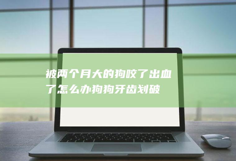 被两个月大的狗咬了出血了怎么办(狗狗牙齿划破轻微出血)