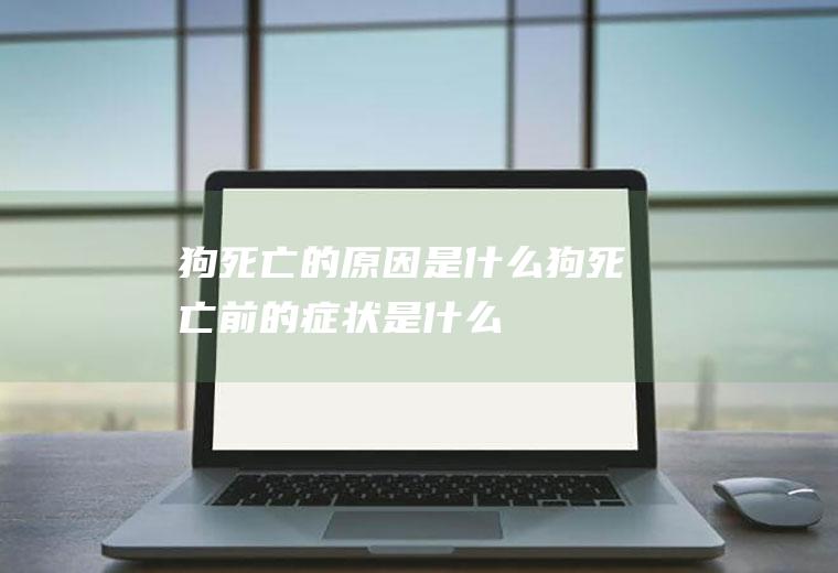 狗死亡的原因是什么(狗死亡前的症状是什么)