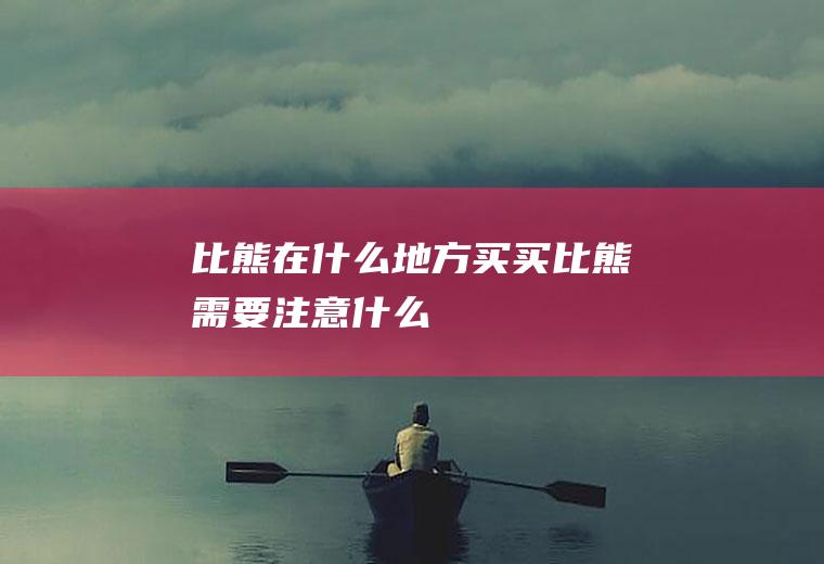 比熊在什么地方买(买比熊需要注意什么)