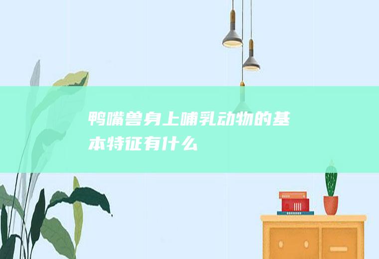 鸭嘴兽身上哺乳动物的基本特征有什么