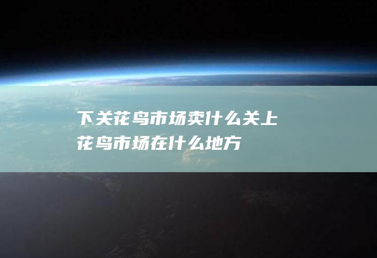 下关花鸟市场卖什么关上花鸟市场在什么地方
