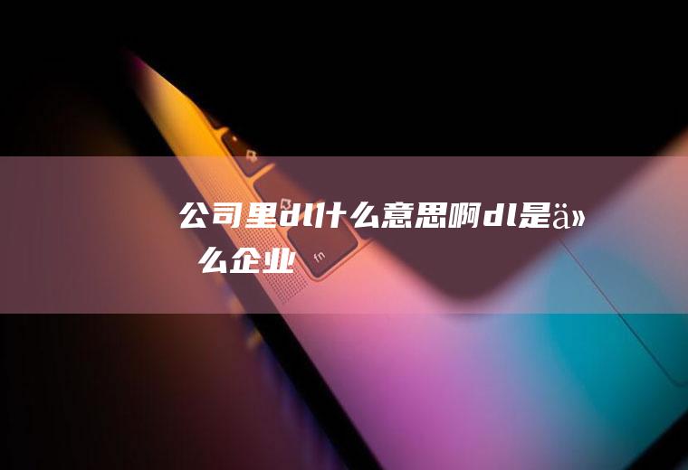 公司里dl什么意思啊dl是什么企业