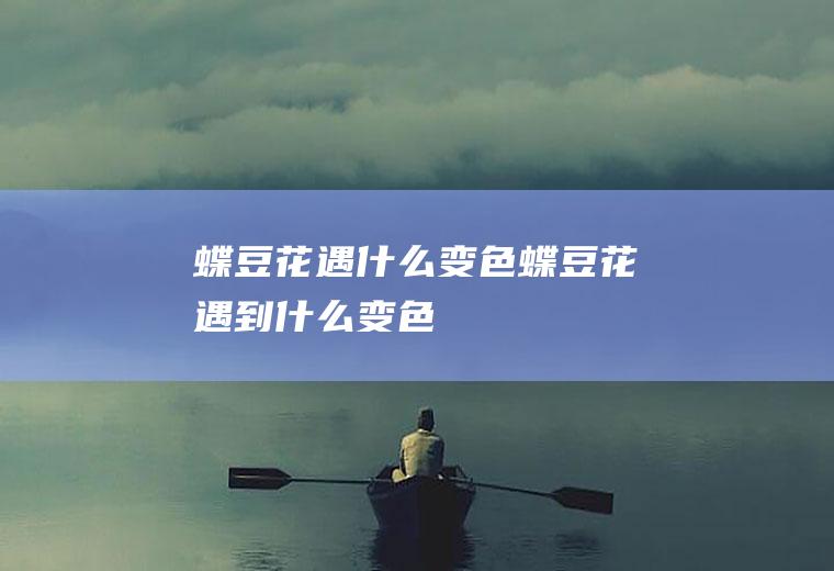 蝶豆花遇什么变色蝶豆花遇到什么变色