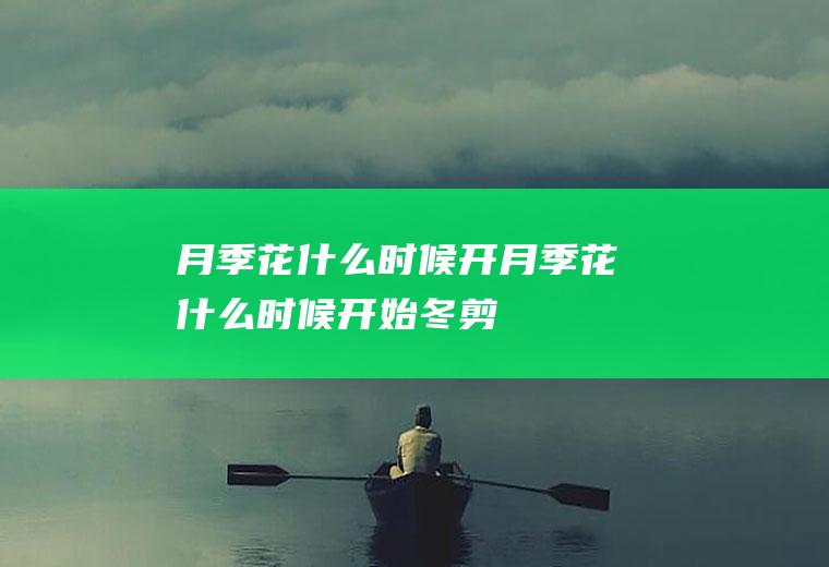 月季花什么时候开月季花什么时候开始冬剪