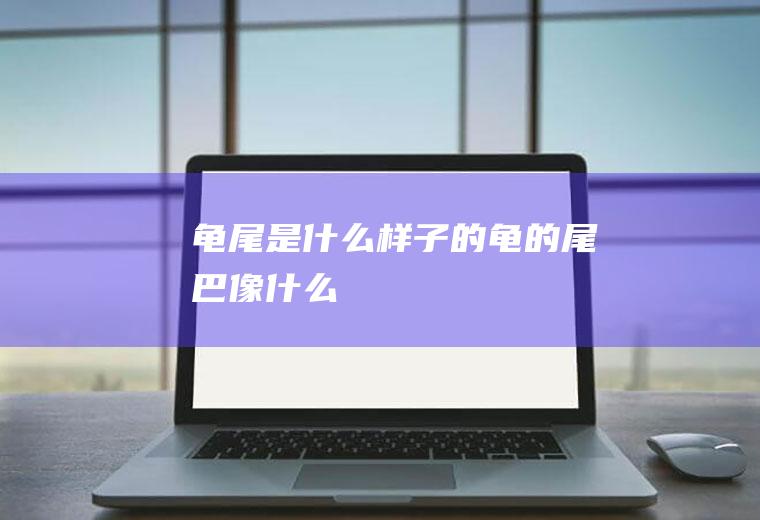 龟尾是什么样子的龟的尾巴像什么