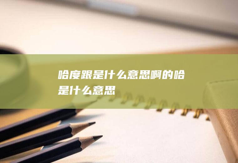 哈度跟是什么意思啊的哈是什么意思