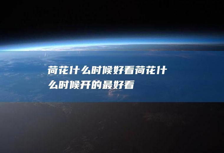 荷花什么时候好看荷花什么时候开的最好看