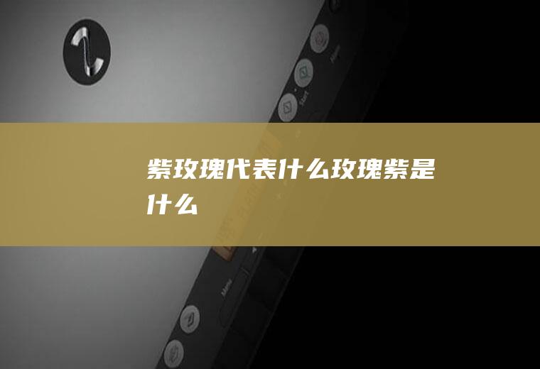 紫玫瑰代表什么玫瑰紫是什么