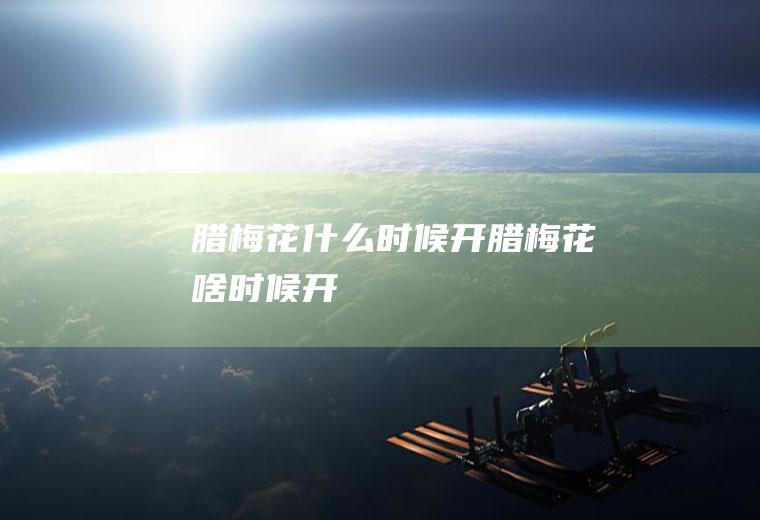 腊梅花什么时候开腊梅花啥时候开
