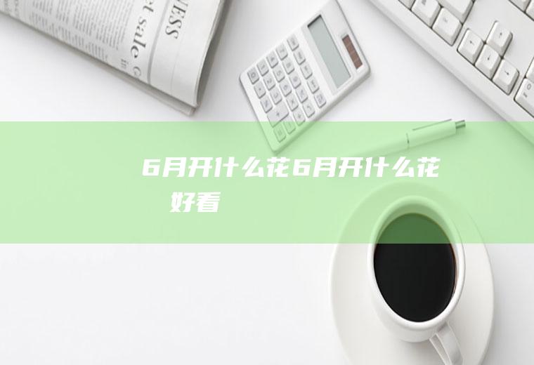 6月开什么花6月开什么花最好看