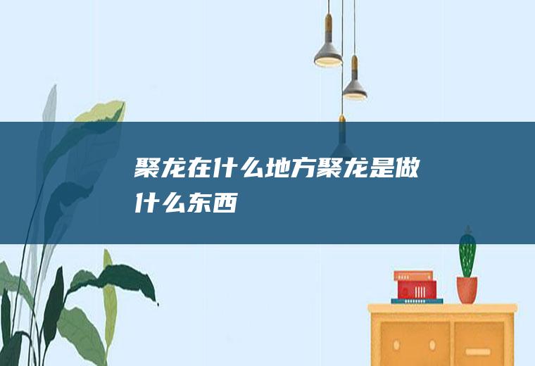 聚龙在什么地方聚龙是做什么东西