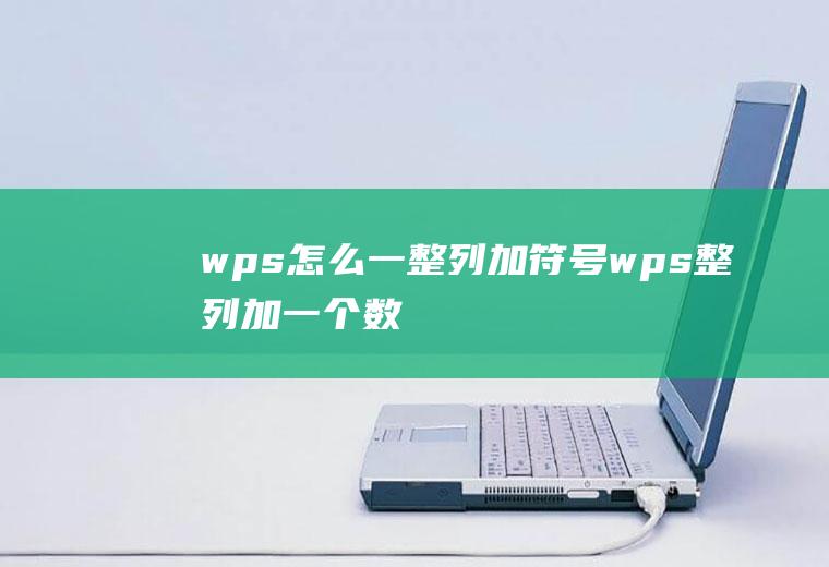 wps怎么一整列加符号wps整列加一个数