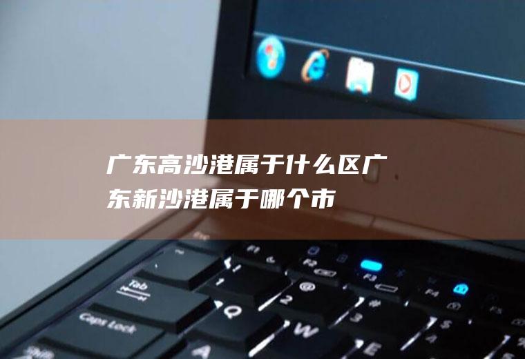 广东高沙港属于什么区广东新沙港属于哪个市