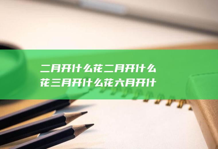 二月开什么花二月开什么花三月开什么花六月开什么花九月开什么花