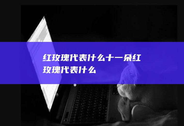 红玫瑰代表什么十一朵红玫瑰代表什么