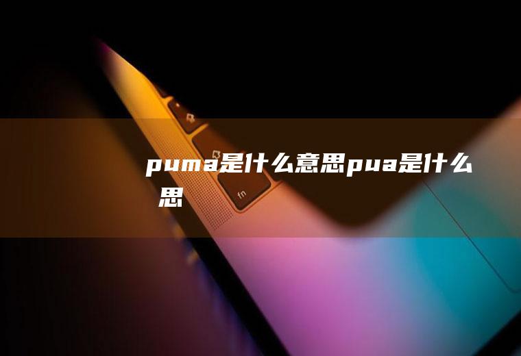 puma是什么意思pua是什么意思