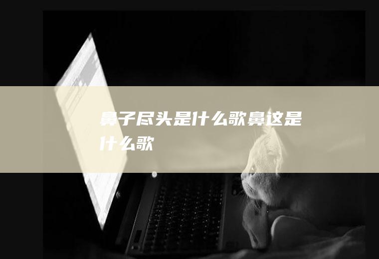 鼻子尽头是什么歌鼻这是什么歌