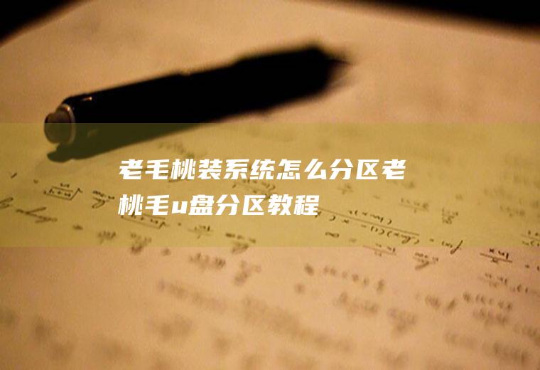 老毛桃装系统怎么分区老桃毛u盘分区教程