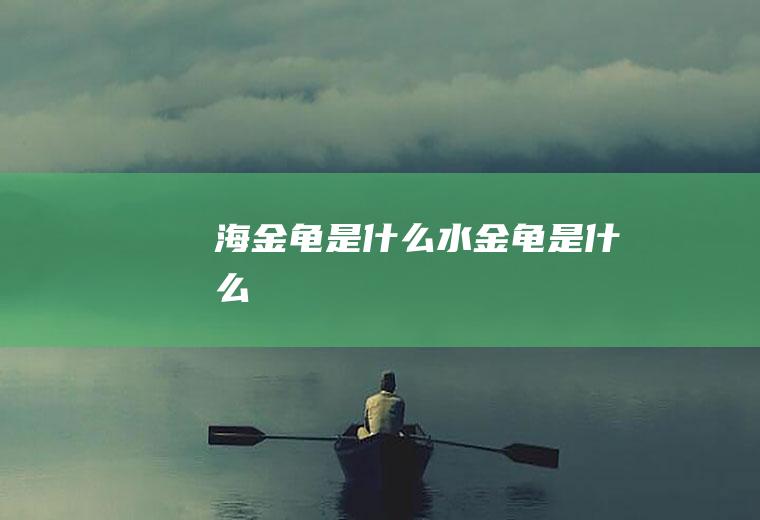 海金龟是什么水金龟是什么