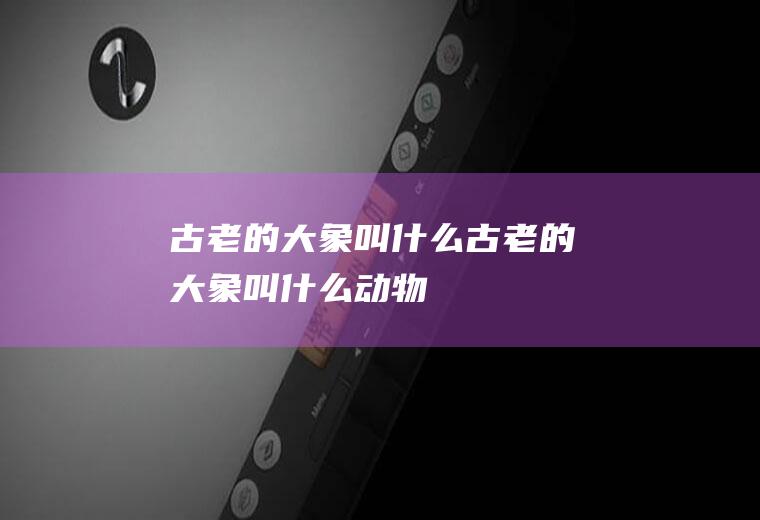 古老的大象叫什么古老的大象叫什么动物