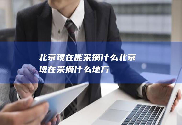 北京现在能采摘什么北京现在采摘什么地方
