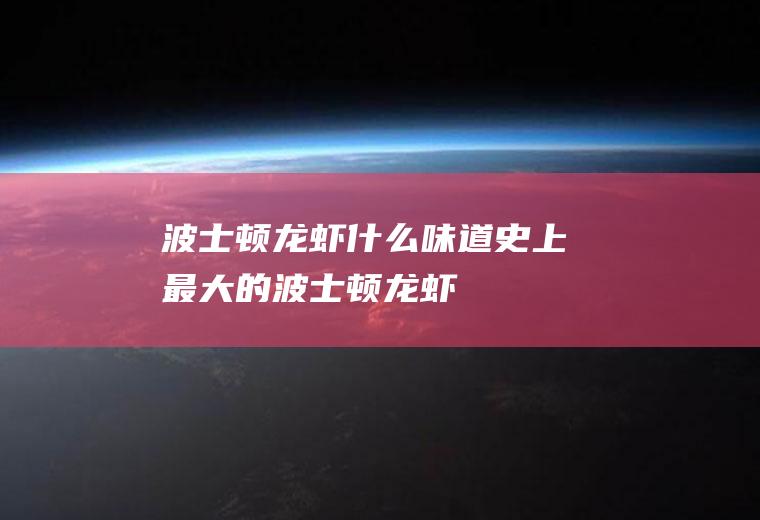 波士顿龙虾什么味道史上最大的波士顿龙虾