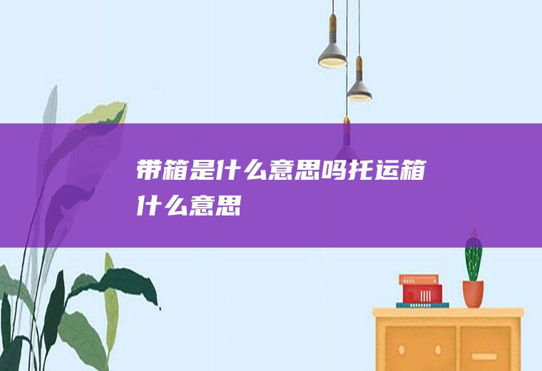 带箱是什么意思吗托运箱什么意思