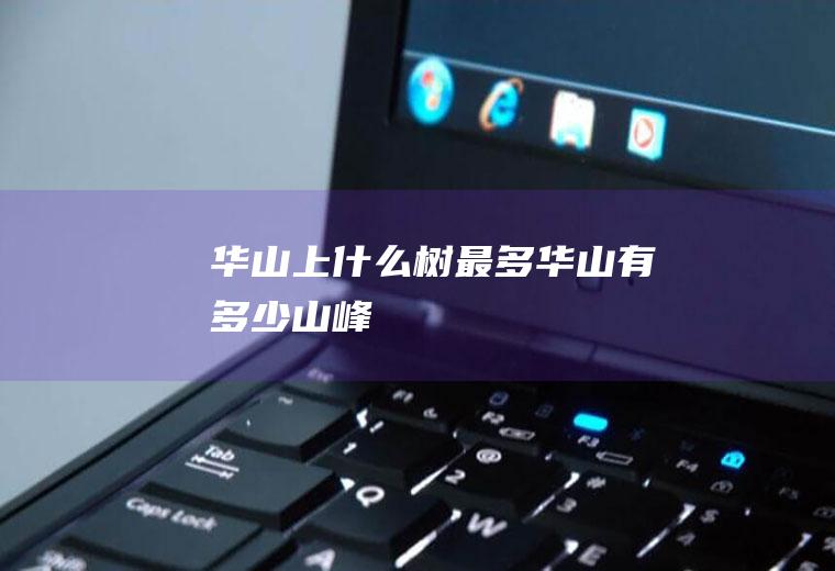 华山上什么树最多华山有多少山峰