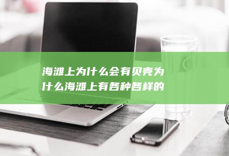 海滩上为什么会有贝壳为什么海滩上有各种各样的贝壳