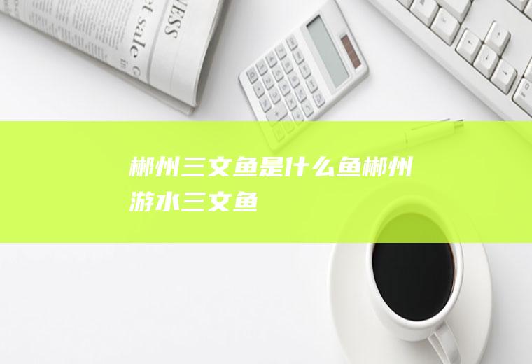 郴州三文鱼是什么鱼郴州游水三文鱼