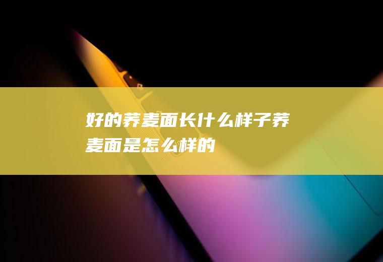 好的荞麦面长什么样子荞麦面是怎么样的