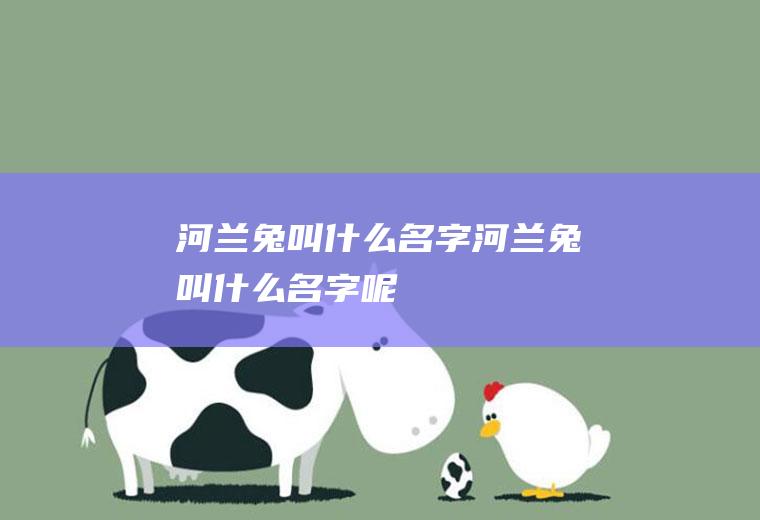 河兰兔叫什么名字河兰兔叫什么名字呢