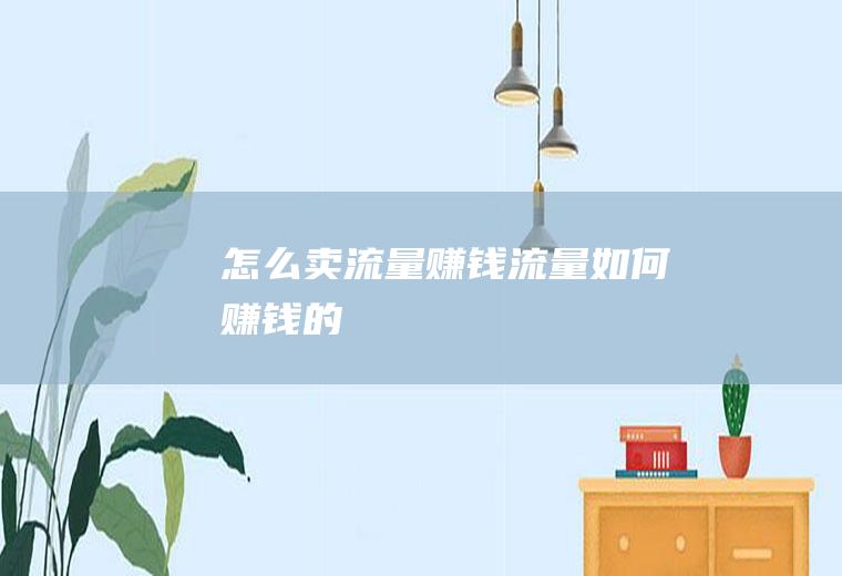 怎么卖流量赚钱流量如何赚钱的
