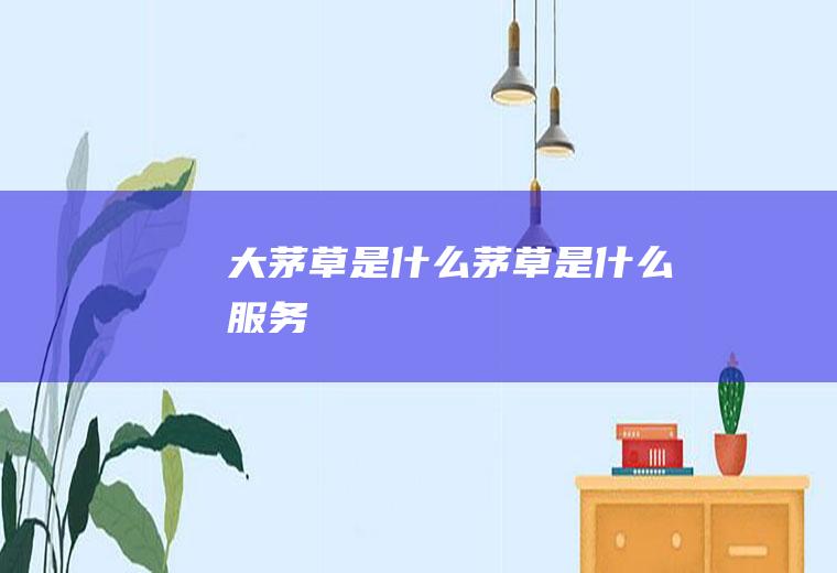大茅草是什么茅草是什么服务
