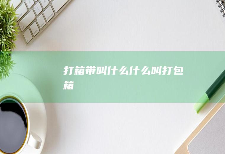 打箱带叫什么什么叫打包箱